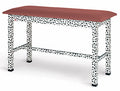 Hausmann Model 4904 Dalmatian Treatment Table