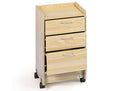 Hausmann Model 9038-20-7909 Green-Line Mobile Cabinet