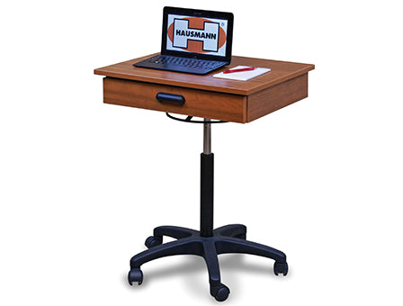 Hausmann Model 9210 Mobile Computer Workstation