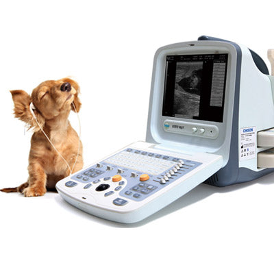 Chison 9300Vet Ultrasound System