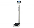 Detecto Digital Scale Eye-Level with MedVue
