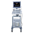 GE LOGIQ P6 Ultrasound