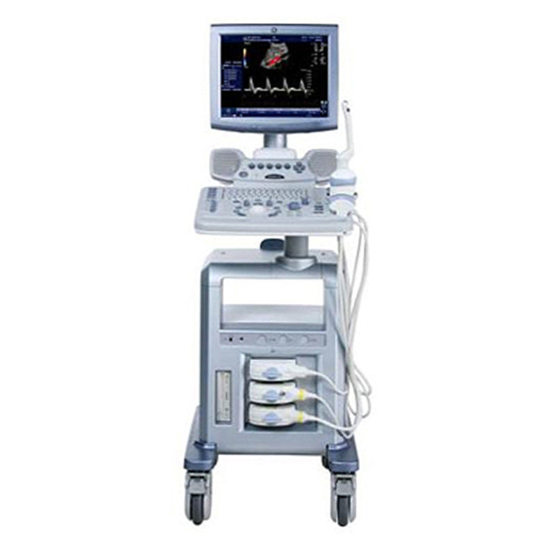 GE LOGIQ P6 Ultrasound