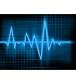 QRS LX Analysis Software -Enhanced