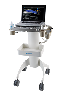 Terason Mobile Cart