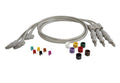 Chest Leads, IEC