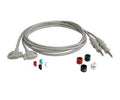 Limb Leads, AAMI