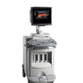 Siemens Acuson Sequoia 512 Ultrasound