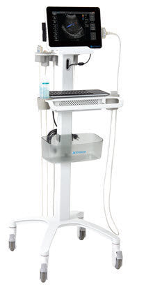 Terason uSmart Mobile Cart